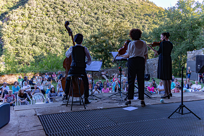 Train à Vapeur Des Cévennes - Train en musique